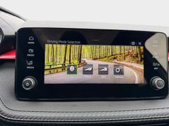 SKODA Fabia Monte Carlo behz.Lenkr PANO LED Kamera PDC