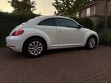 Volkswagen Beetle 2.0 TDI Exclusive Design Exclusive Design - Volkswagen Beetle: Exclusive Design