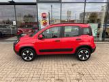 Fiat Panda 1.0 Hybrid CityCross (RED) Sondermodell - gebrauchte Fiat Panda aus dem Jahr 2022