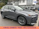 Lexus NX 350h E-Four Business*NAVI*BI-LED*CarPlay* - Lexus NX 350h Gebrauchtwagen