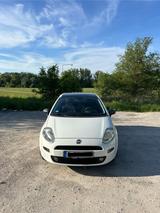 Fiat Punto 1.2 8V YOUNG YOUNG - Fiat Punto Gebrauchtwagen in Stuttgart