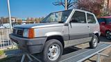 Fiat Panda 1100 i.e. cat 4x4 Trekking - Fiat Panda aus 1999