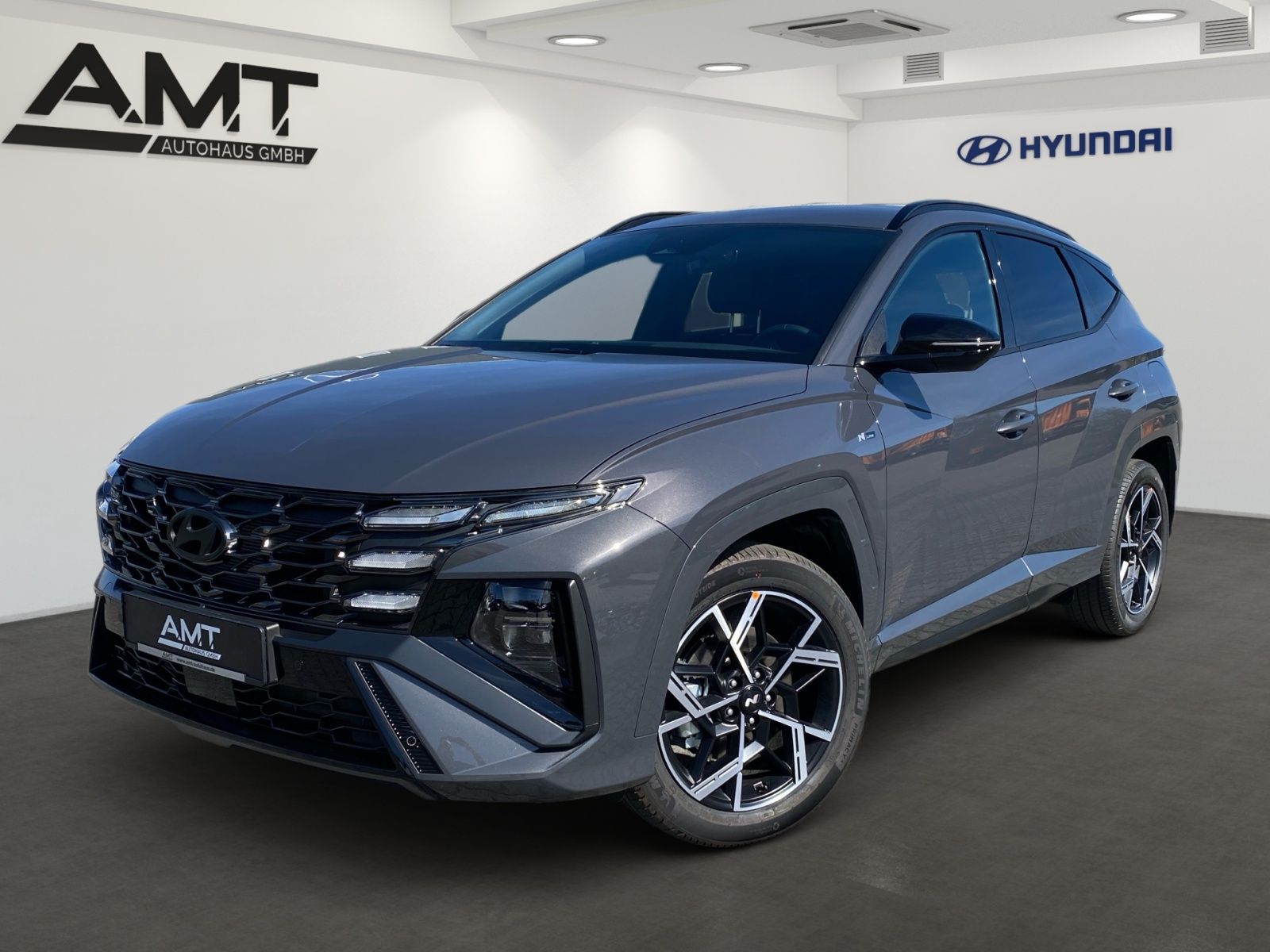 Hyundai Tucson 1.6 T-GDI N Line HEV4WD Matrix-LED Kamera