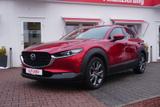 Mazda CX-30 2.0 M-Hybrid Aut. LED Navi Head-Up AHK - gebrauchte Mazda CX-30 aus dem Jahr 2022