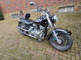Yamaha XV1600 VP08 - Angebote entsprechen deinen Suchkriterien
