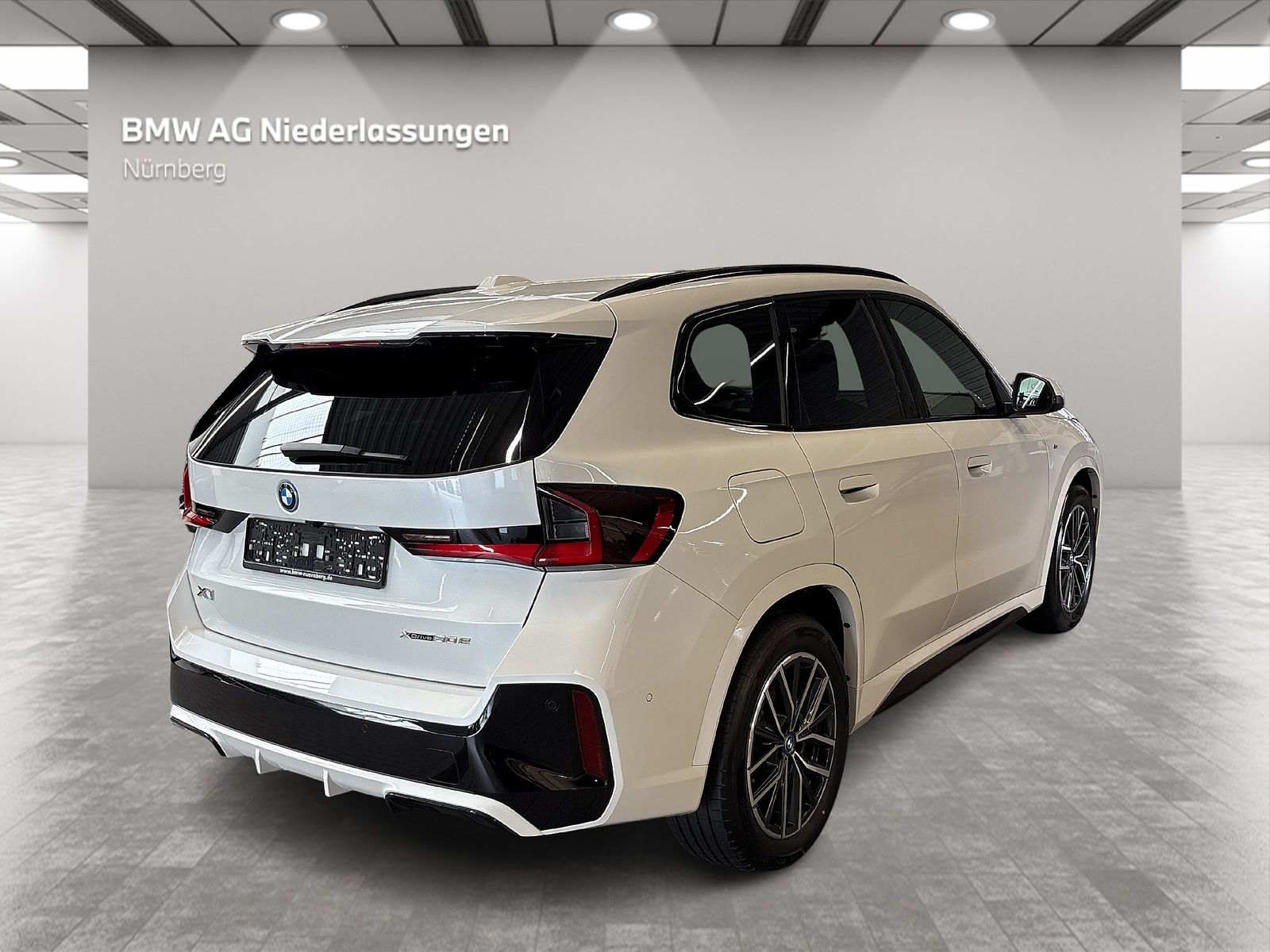 BMW X1 xDrive30e M Sport Driv.Assist.Prof Harman/K foto 4