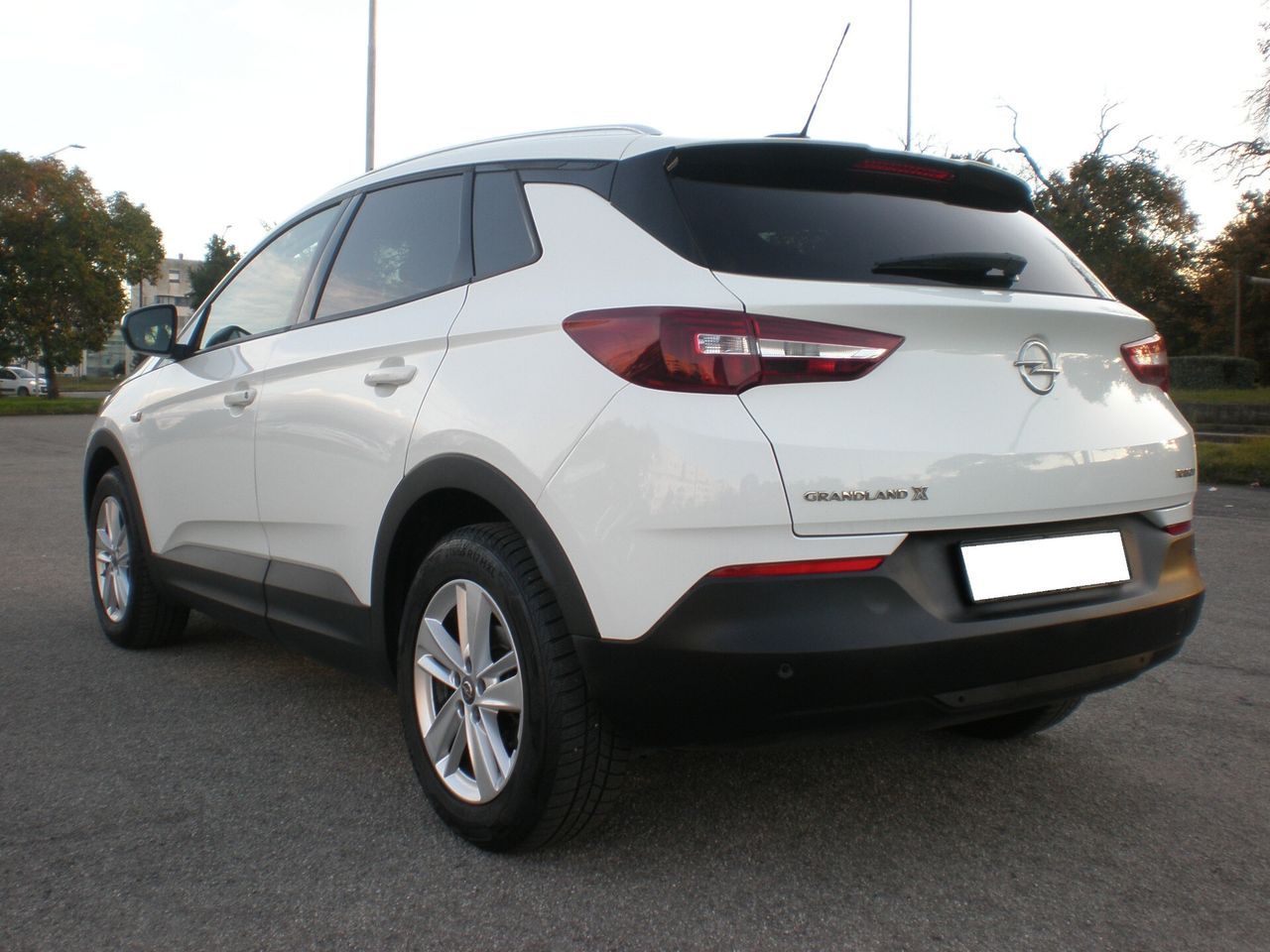 OPEL Grandland X