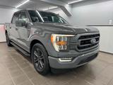 Ford F 150 5.0 V8 XLT Supercrew/LKW/AHK-3,5/LED-Tacho - Ford F 150: Geländewagen