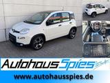 Fiat Panda 1.0 Mild Hybrid Sport CarPlay AndAuto Klim - gebrauchte Fiat Panda aus dem Jahr 2022