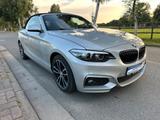 BMW 230i Steptronic Cabrio Luxury Line - BMW 230 aus 2020