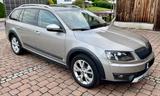 Skoda Octavia 1.8 TSI DSG 4x4 Scout Combi Scout - Skoda Octavia: Allradantrieb, 1.8