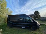 Bravia Swan 599 - Bravia Kastenwagen