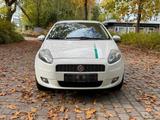 Fiat Punto 1,4 l *TÜV NEU 10/2027* - Fiat Punto aus 2009: 1.4