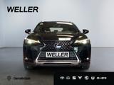 Lexus UX 250h Business Edition *ACC*Kamera*CarPlay*SHZ - Lexus aus 2021