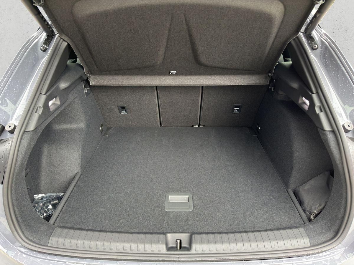 Cupra Terramar - Bild 21