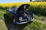 Alfa Romeo Giulia Spider 1600