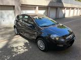 Fiat Punto Evo 1,4 Benzin - Fiat Punto Evo in Wuppertal