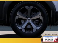 Dacia Duster - Vorschau Bild 6