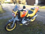 BMW  Top umgebaute R1100 R - BMW 1995