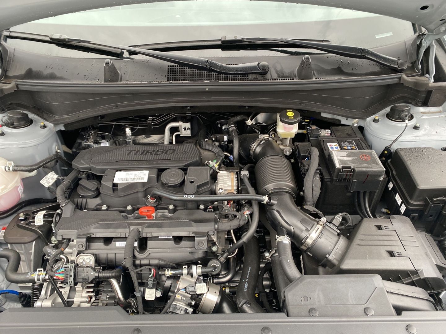 Fahrzeugabbildung Kia Sportage GT-LINE 4WD 1.6 T-GDI Mild-Hybrid *GLAS