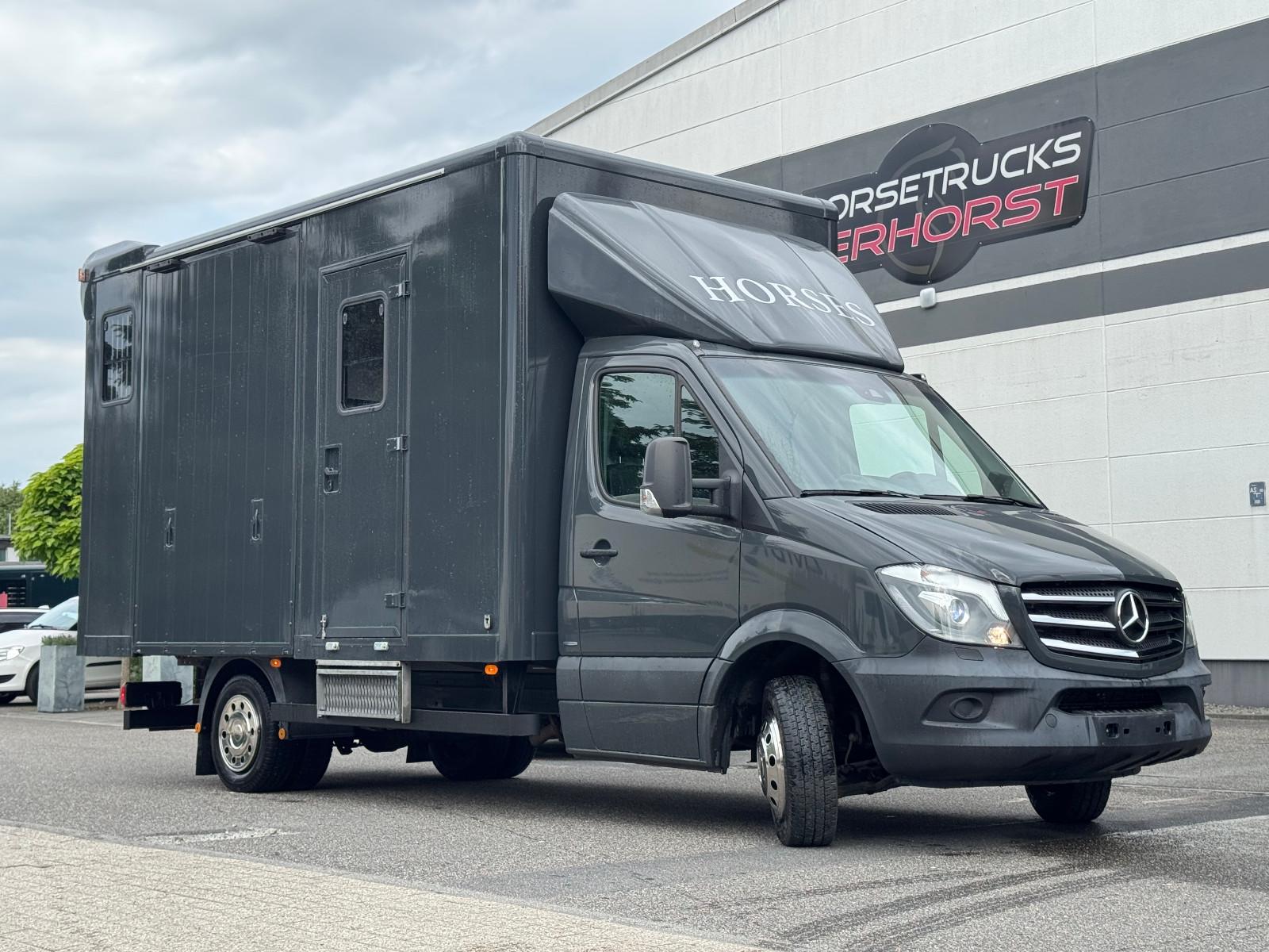 Mercedes-Benz Sprinter 3L V6,2-Pferdetransporter m.kl. Wohnung