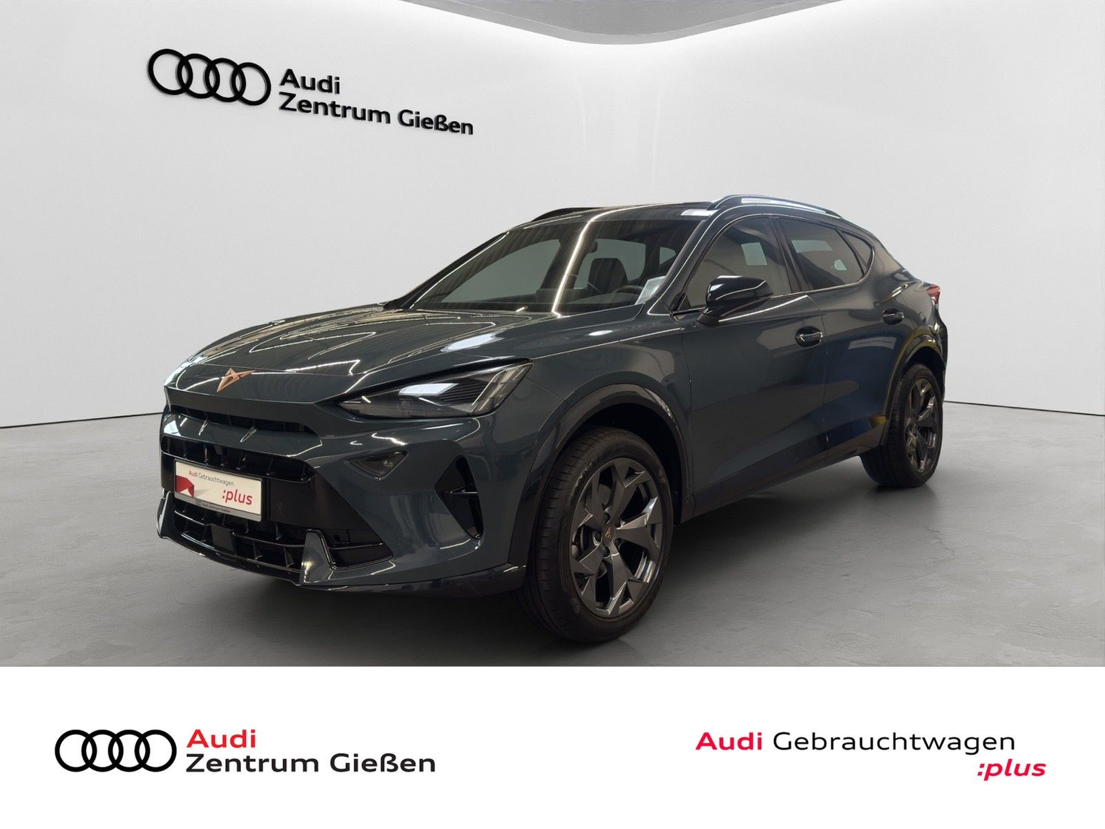 Cupra Formentor 2.0 TDI DSG EDGE ACC Kamera Winterpake