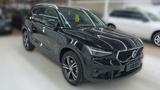 Volvo XC40 B3 B Aut Leder Navi BLIS ACC PILOT 360° Pix - Volvo aus 2024