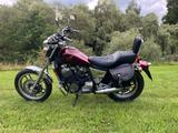 Honda VT 500 C