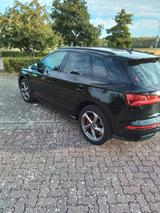 Audi Q5 45 TFSI S tronic quattro sport sport - Audi Q5 von privat