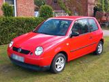 Volkswagen VW Lupo 1.0 - Volkswagen Lupo aus 2001