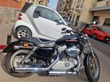 Harley-Davidson 883C Sportster Custom XL 883xl solo 14000km - HARLEY-DAVIDSON SPORTSTER XL 883 C CUSTOM