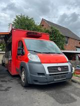 Fiat Hähnchenwagen Verkaufswagen Fiat Ducato - : Verkaufswagen