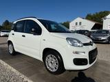Fiat Panda My Panda Sportsitze Sport Lenkrad - Fiat Panda: Weiß
