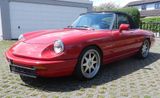 Alfa Romeo Spider - Alfa Romeo Oldtimer: Cabrio