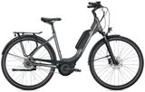 Falter E 9.0 RT 500 45 cm (28") Wave - Falter E-Bikes