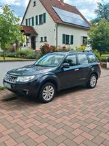 Subaru Forester - gebrauchte Subaru Forester aus dem Jahr 2012