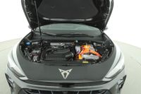 Cupra Terramar - Vorschau Bild 9