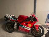 Ducati 996 - DUCATI 996