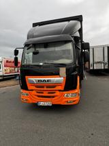 DAF LF 230