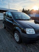 Fiat New Panda 1.1 8V Active - Fiat New Panda von privat