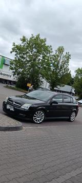 Opel Signum 2.2 Direct Sport  - Opel Signum: Sport