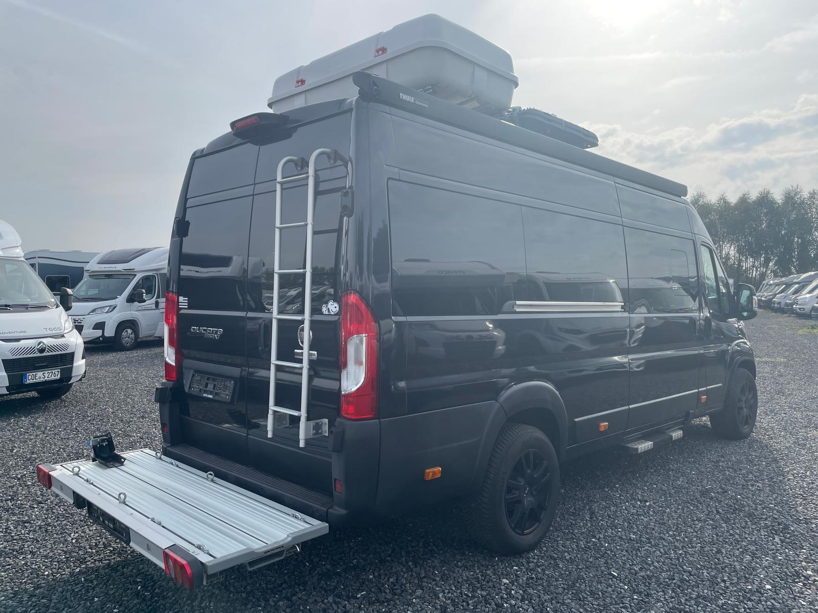 Fiat FIAT KASTENWAGEN | SELBSTAUSBAU - Automatik