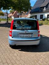 Fiat Panda - gebrauchte Fiat Panda aus dem Jahr 2009