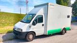 Peugeot Boxer / Ducato / Jumper camper Kof... - gebrauchte Peugeot Boxer aus dem Jahr 2006