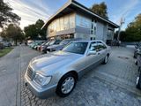 Mercedes-Benz S350 Turbo Diesel Oldtimer 70000 Tkm Klima Alarm - Mercedes-Benz: Old