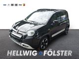 Fiat Panda Cross Pandina Mild Hybrid DAB Spurhalteass - Fiat Panda Tageszulassungen mit Benzin-Antrieb: Limousine
