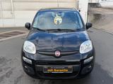 Fiat Panda More *1.Hand*Klima*Pdc*Bluetooth*Alu* - Fiat Gebrauchtwagen in Frankfurt
