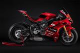 Ducati Panigale V4 Marquez 2025 World Champion Repli - DUCATI PANIGALE V4