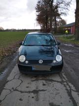 Volkswagen Lupo zu verkaufen - Volkswagen Lupo in Duisburg