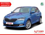 Skoda Fabia 1.0 TSI Soleil DSG LED Navi Android Apple - Skoda Gebrauchtwagen in Halle